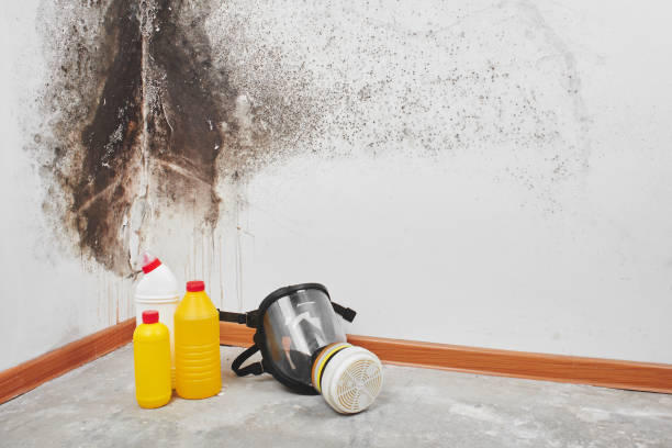 Best Toxic Mold Removal  in Russellton, PA