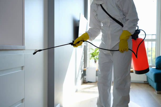 Best Certified Mold Removal  in Russellton, PA