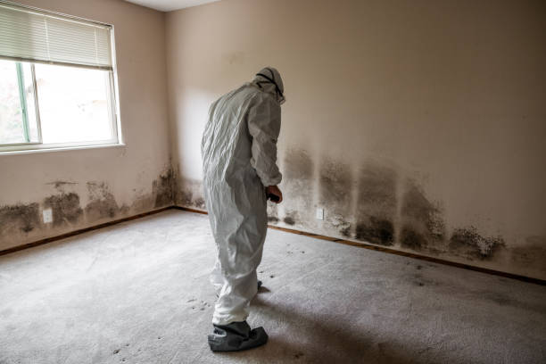 Crawl Space Mold Removal in Russellton, PA