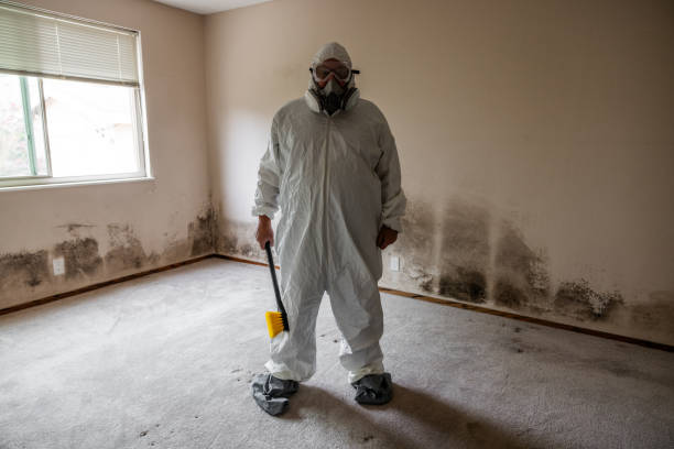 Best Local Mold Removal Service  in Russellton, PA